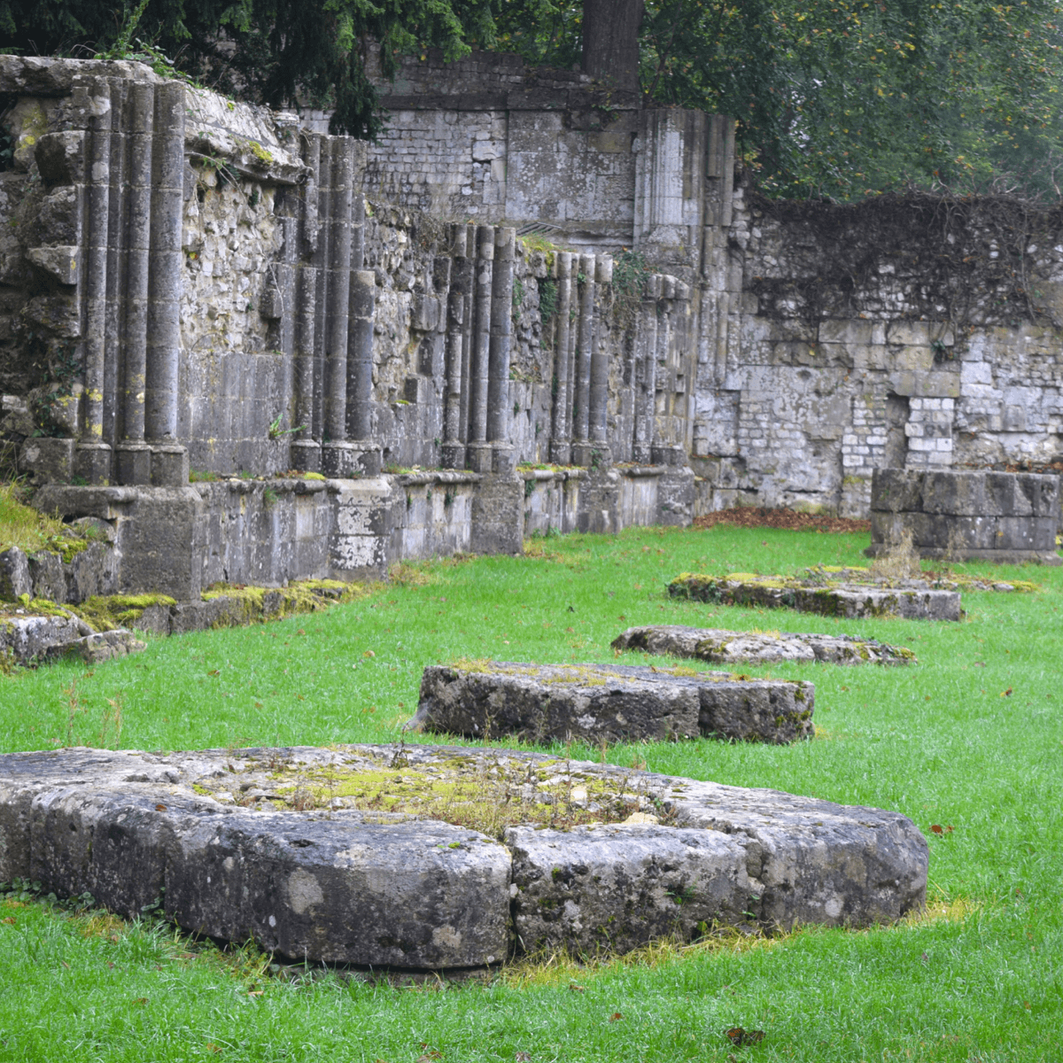 Les ruines à l'abbaye de Saint-Wandrille - Divine Box