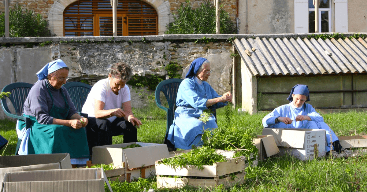 Les soeurs du monastère de Taulignan sélectionnent à la main les plantes de leur jardin pour réaliser des produits bio
