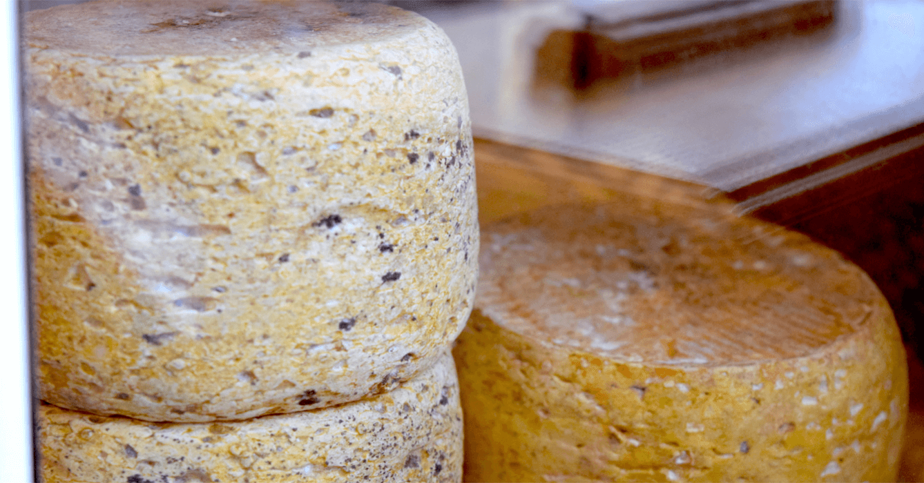 Fromage Saint-Germier confectionné à l'Abbaye Sainte-Marie de Boulaur - Divine Box