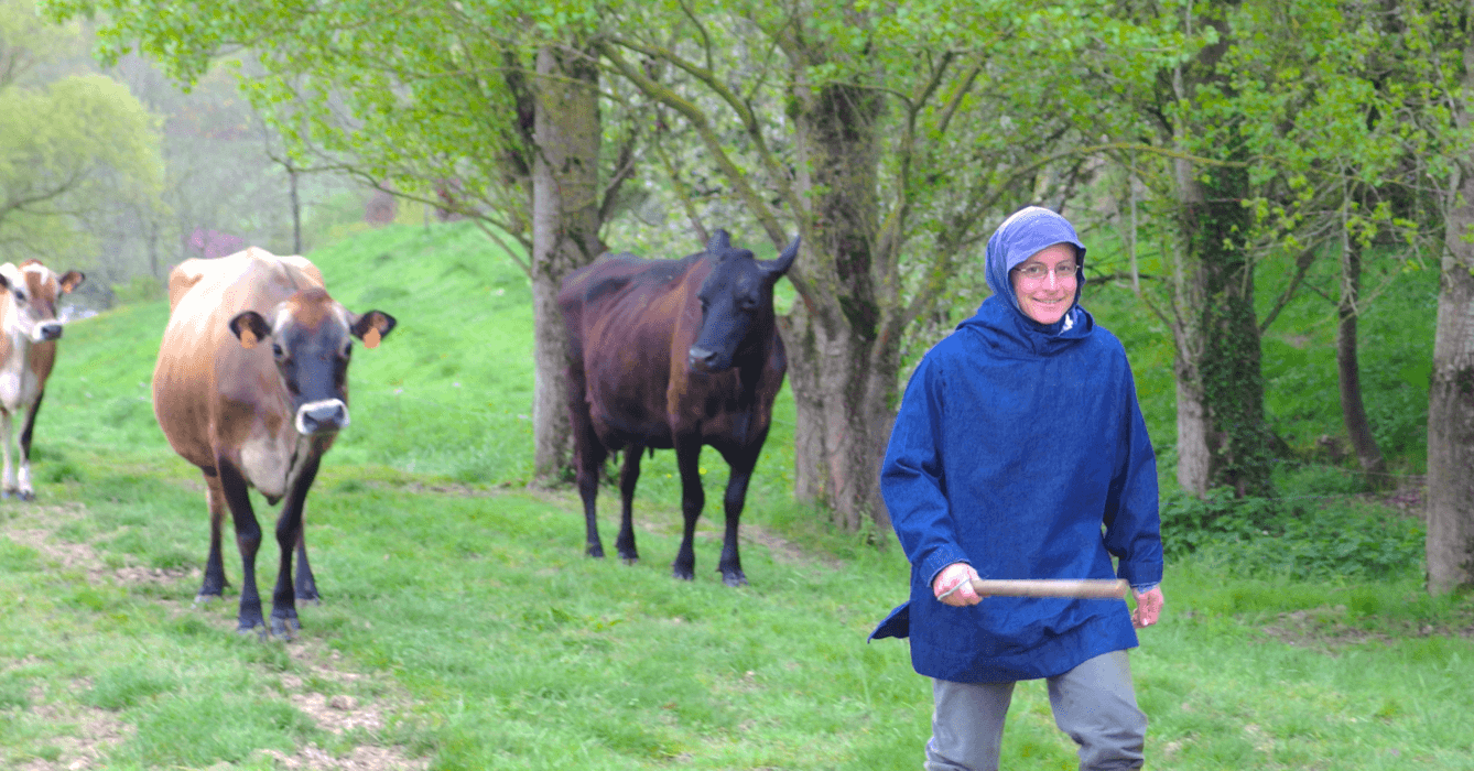 Une soeur de l'Abbaye Sainte-Marie de Boulaur avec les vaches laitières - Divine Box