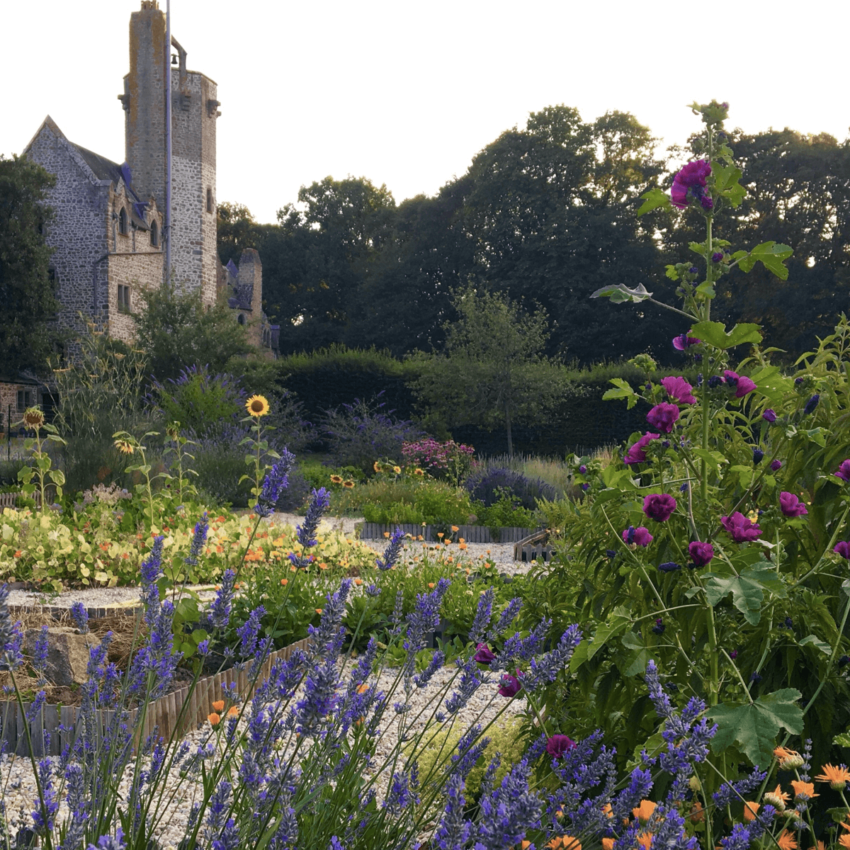 Bougie Torsadée en cire d'abeille - Monastère de Bois-Salair