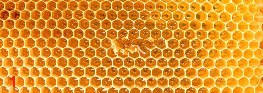 Miels & produits de la ruche des abbayes - Divine Box