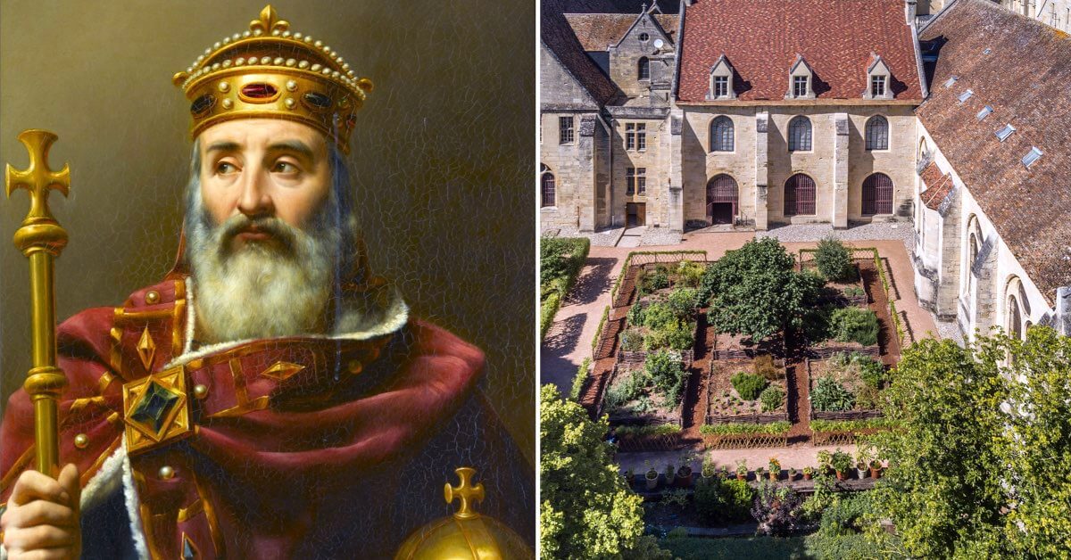 Grâce à Charlemagne, les monastères cultivent la plante de Maylis dans leurs jardins de plantes médicinales - guide d'utilisation - Divine Box.001