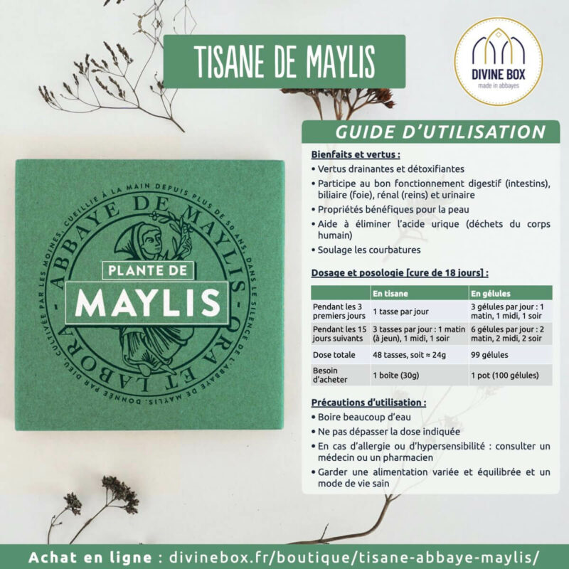 Tisane de Maylis - Guide d'utilisation - Divine Box