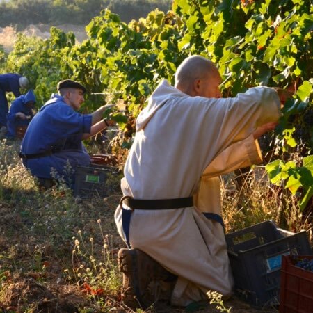 Opération Vin : Abbaye du Barroux et Divine Box : vignoble artisanal