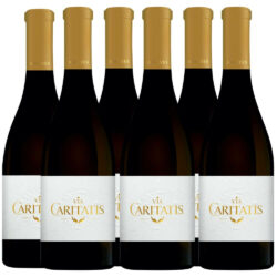 Vin rouge Abbayes (Via Caritatis) 2020 x 6 - Abbaye Sainte-Madeleine du Barroux - Divine Box