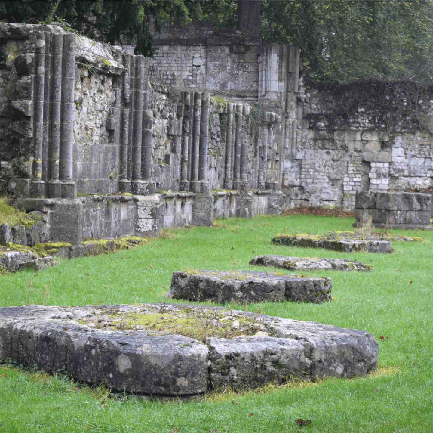 Les ruines à l'abbaye de Saint-Wandrille - Divine Box