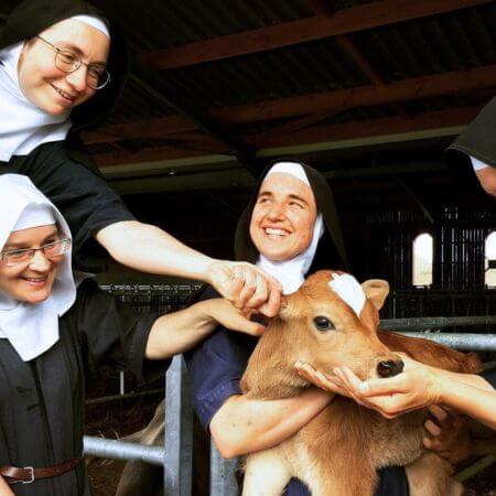 Opération Abbaye de Boulaur : savoir-faire de longue date