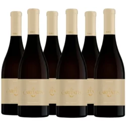 Vin rouge « VOX CARITATIS » x 6 – Abbaye Sainte-Madeleine du Barroux - Divine Box